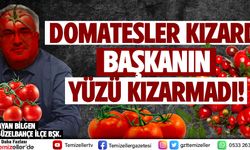 DOMATESLER KIZARDI BAŞKANIN YÜZÜ KIZARMADI!