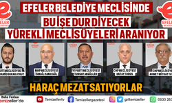 EFELER BELEDİYE MECLİSİNDE BU İŞE DUR DİYECEK YÜREKLİ MECLİS ÜYELERİ ARANIYOR