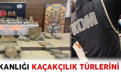 KOM DAİRE BAŞKANLIĞI KAÇAKÇILIK TÜRLERİNİ MASAYA YATIRDI