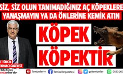 Köpek, Köpektir…!