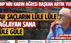 YAR SAÇLARIN LÜLE LÜLE ÇAĞLAYAN BİLGEN SANA GÜLE GÜLE