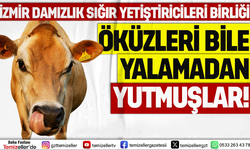 İZMİR DAMIZLIK SIĞIR YETİŞTİRİCİLERİ BİRLİĞİ’NDE ÖKÜZLERİ BİLE YALAMADAN YUTMUŞLAR!