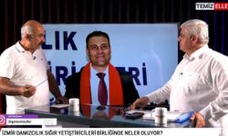 İZMİR DAMIZLIK SIĞIR YETİŞTİRİCİLERİ BİRLİĞİ | TEMİZELLER 27 AĞUSTOS 2025 | CANLI