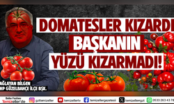 DOMATESLER KIZARDI ÇAĞLAYAN BİLGEN'İN YÜZÜ KIZARMADI!