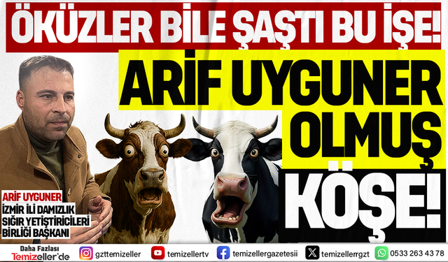 İZMİR DAMIZLIK SIĞIR YETİŞTİRİCİLERİ BİRLİĞİ’NDE SKANDAL ATAMALAR VE ŞAİBELİ PARA TRAFİĞİ!