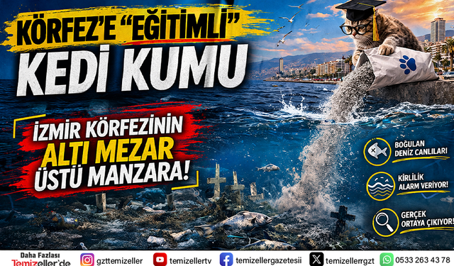 İZDENİZ'DE "ORGANİZE" İHALE REZALETİ!