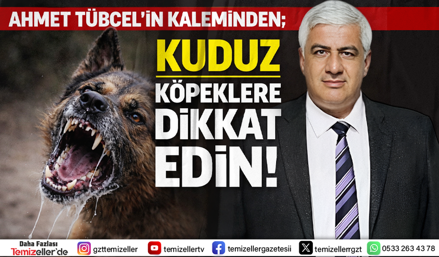 AHMET TÜBCEL'İN KALEMİNDEN; "KUDUZ KÖPEKLERE DİKKAT EDİN"