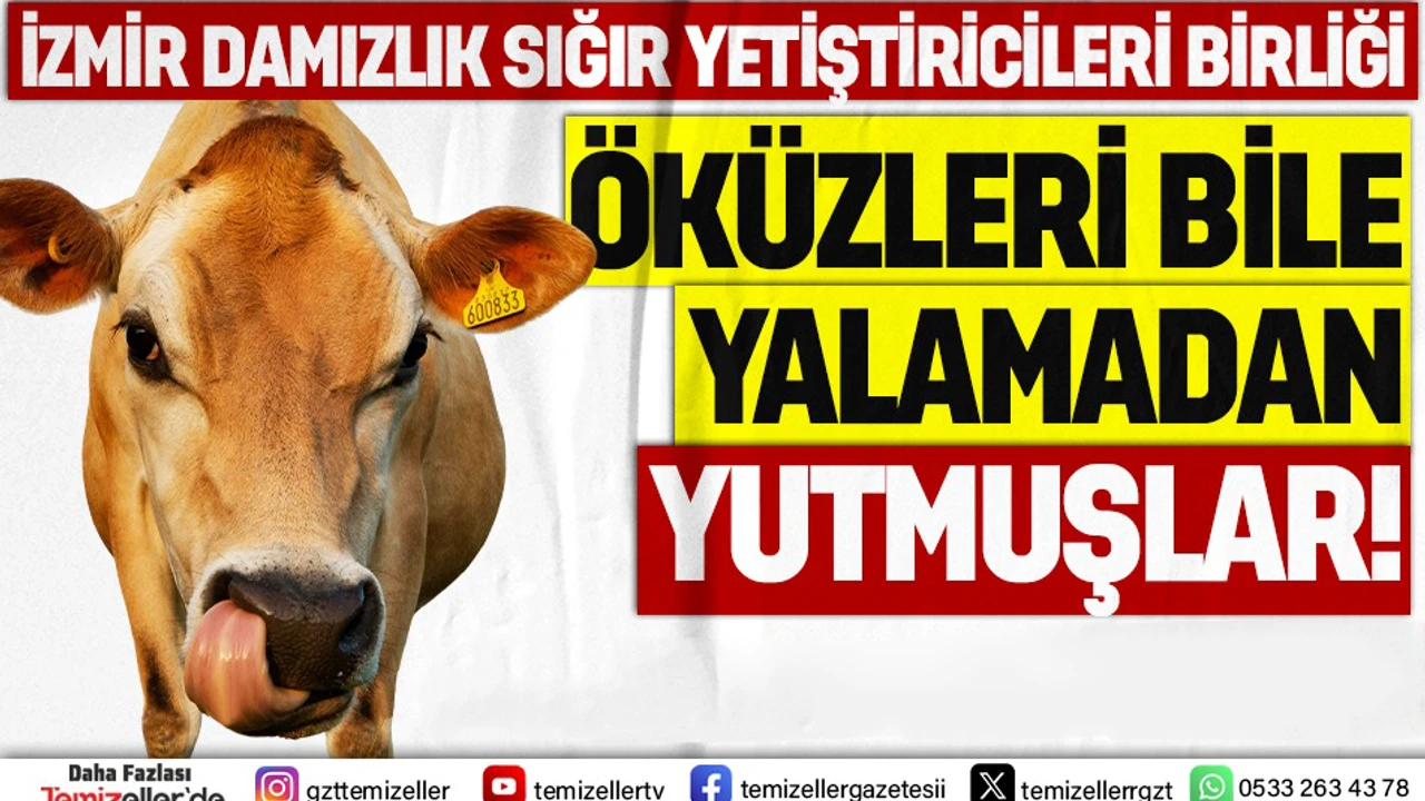 Whatsapp Gorsel 2025 07 02 Saat 132626 B12E2C63 Copy (3)