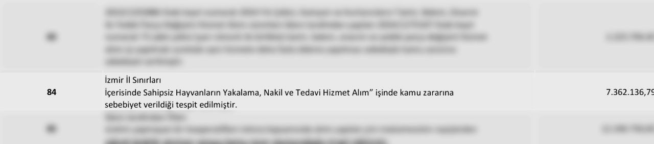 Hayvan 11